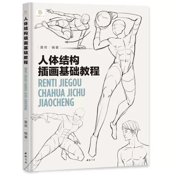 Ein Basic-Tutorial, den Menschlichen Körper Struktur Illustration Art Book Dynamische Struktur-Techniken Für den Menschlichen Körper, Skizzieren