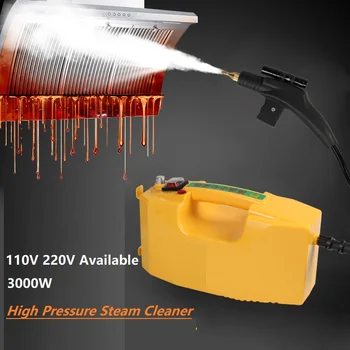 110V 220V 3000W Dampf Reiniger Elektrische Pumpen Sterilisation Desinfektor Dampf Generator Washer Auto Haube Air Conditioner Cleaner