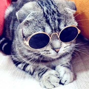 Pet Products Lovely Vintage Runde Katze Sonnenbrille Reflexion Eye Brille tragen Für Kleine Hund Katze Pet Fotos Requisiten Zubehör